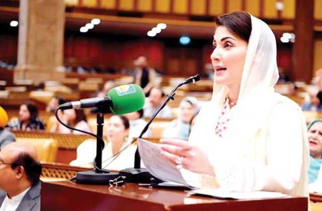 نوازشریف کو مائنس کرنے والے خود ہو گئے: مریم نواز