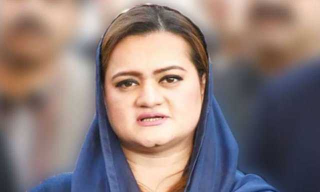 13شیر تحویل میں‘5افراد گرفتار‘ جنگلی حیات کا کاروبار ناقابل برداشت : مریم اورنگزیب