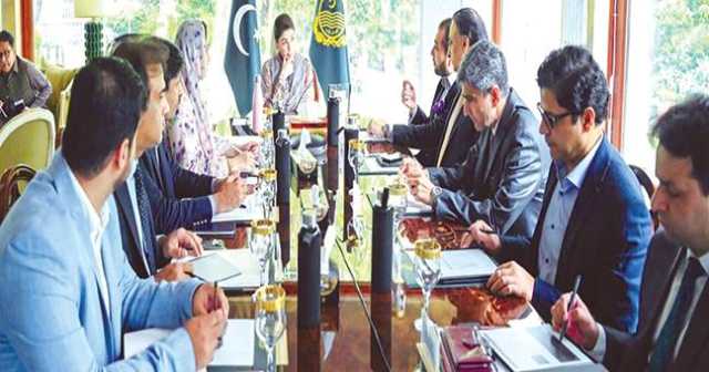 کسانوں کو 100 ارب کے قرض، 20 ہزار ٹریکٹر سبسڈی پر ملیں گے: گندم کے کاشتکار کو تنہا نہیں چھوڑیں گے: مریم نواز