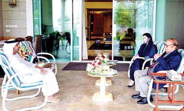 نوازشریف، مریم نواز سے سفیر امارات کی ملاقات، اشتراک کو وسعت دینے کے خواہاں: وزیراعلیٰ