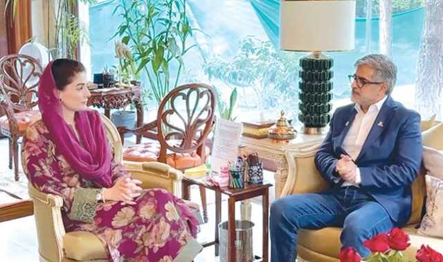 گندم کے کاشتکاروں کی معاونت، پیداوار میں اضافے کا پلان طلب، پنجاب کو سرمایہ کاری کا ہب بنانا چاہتے ہیں: مریم نواز