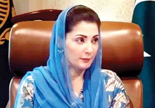 لائیو سٹاک کی بہتری کیلئے منصوبے کا آغاز، ویٹرنری گریجوایٹس کو  60 ہزار ماہانہ وظیفہ ملے گا