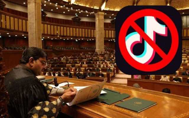  ملک میں ٹک ٹاک پر پابندی کی قرارداد پنجاب اسمبلی میں جمع