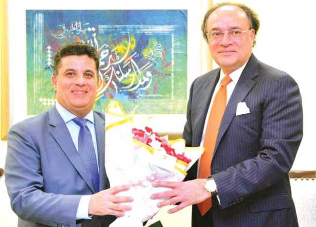 ریکوڈک منصوبے سے طویل المدتی خوشحالی آئے گی: وزیر خزانہ