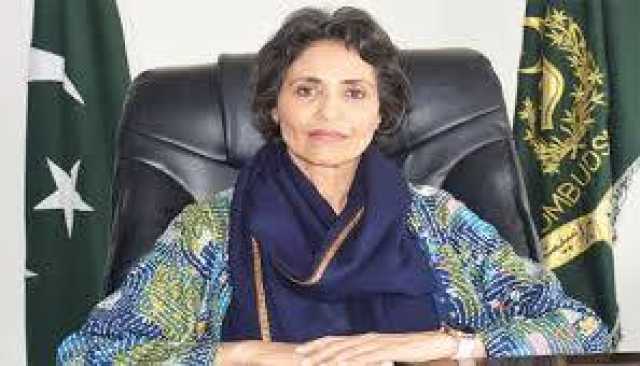 زچگی کیلئے چھٹی پر برخاست خاتون کی ملازمت بحال‘ نجی کمپنی کو 10 لاکھ جرمانہ  