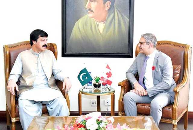 تعلقات کو وسعت دینے کی ضرورت، سردار سلیم حیدر اور کینیڈین ہائی کمشنر کی ملاقات