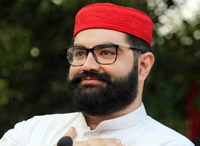 پی ٹی آئی یا کالعدم ٹی ٹی پی کو پشتون عوام کا چہرہ نہیں سمجھتا: ایمل ولی