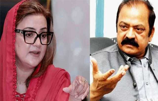 مستعفی ججز کا سیاسی، ذاتی ایجنڈا تھا، رانا ثنا: ابھی تک ان کی غلط فہمی برقرار ہے، عظمیٰ بخاری