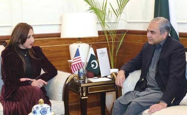 دہشتگردی، مذاکرات ساتھ نہیں چل سکتے، محسن نقوی: پاکستانی عوام کی قربانیوں کو خراج تحسین، قائم مقام امریکی سفیر