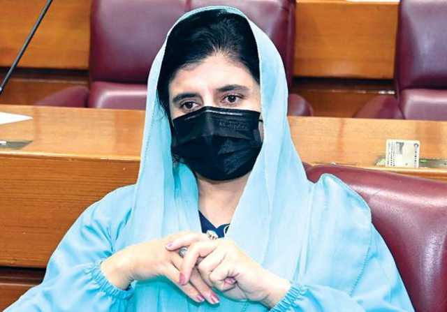 بھارت کوجنگ کی دعوت دینے والے ہرگز ملک کے خیر خواہ نہیں:غزالہ انجم 