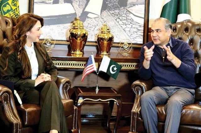 محسن نقوی سے امریکی سفیر کی ملاقات، غیر قانونی امیگریشن، منشیات کی روک تھام کیلئے تعاون بڑھانے پر اتفاق