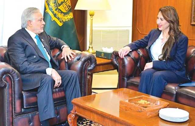 اسحاق ڈار سے برطانوی وزیر‘ اماراتی و امریکی سفارتکاروں کی ملاقاتیں‘ باہمی امور پر گفتگو