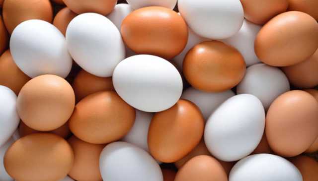 انڈوں کی فروخت پر عارضی پابندی عائد کر دی گئی