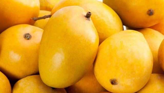 آم کی برآمدات میں جعلسازی ،سنگین انکشافات پر تحقیقات کا حکم