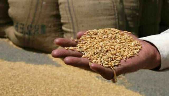 بلوچستان میں سیلاب کے بعد غذائی بحران سر اٹھانے لگا، آٹے کی قیمتوں میں ہوشربا اضافہ