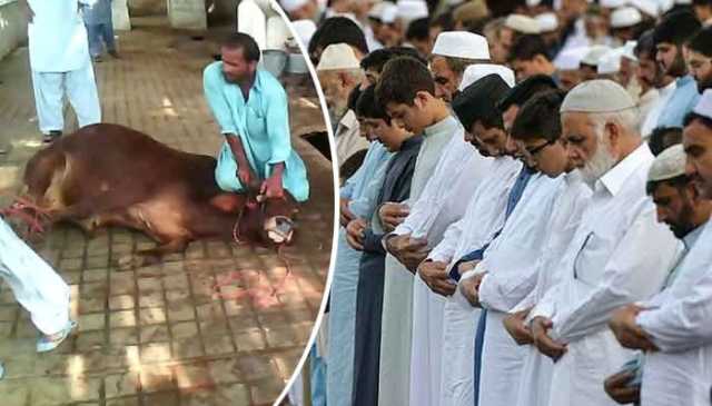 عیدالاضحیٰ  کب ہوگی؟ ماہرین فلکیات نے تاریخ بتادی 