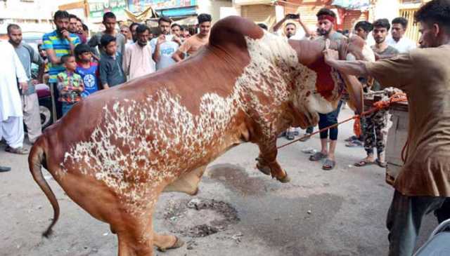 وفاقی حکومت نے عیدالاضحی پر عام تعطیلات کا اعلان کردیا