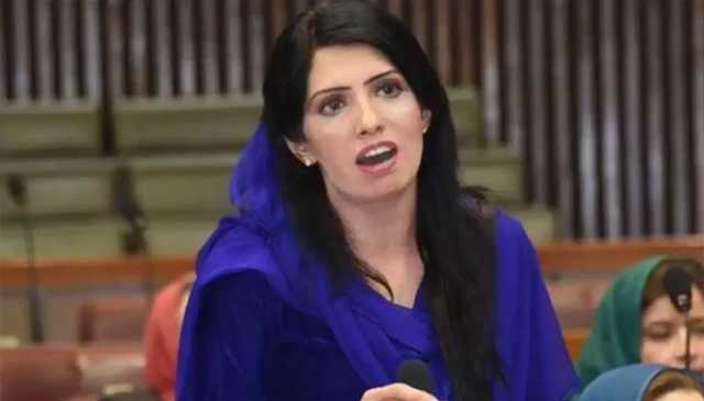 پی ٹی آئی کی تحریک کے اعلان پر چیف آرگنائزر نے سوال اٹھادیا، 90 دن کا پلان کہاں سے آیا؟