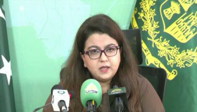 انٹرنیٹ کی سست رفتاری کا سبب، سعودی عرب کے قریب انڈر سی کیبل کاٹ دی گئی، شزہ فاطمہ