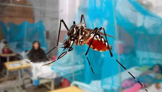 سندھ میں ڈینگی کے وار جاری، کیسز کی تعداد 920 تک جا پہنچی