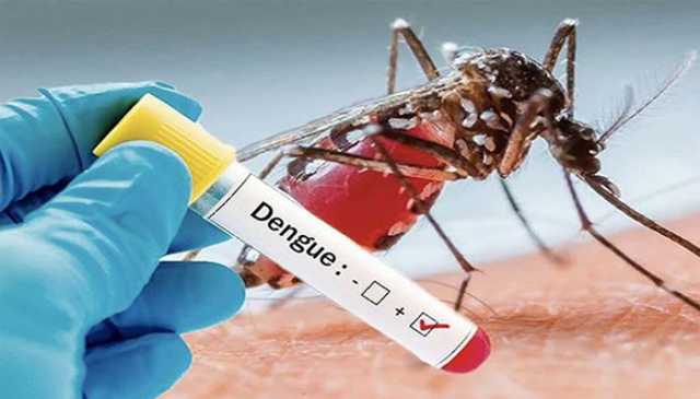 اسلام آباد میں ڈینگی کے مزید 25 کیسز، مجموعی تعداد 458 ہو گئی