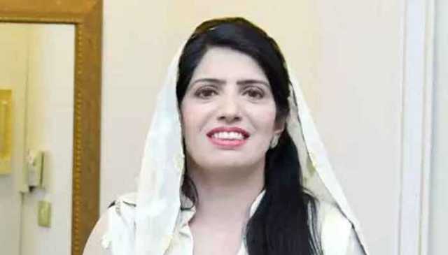 موجودہ حکومت کے معاشی اشاریے جھوٹ پر مبنی، ملک مسلسل تنزلی کی طرف جا رہا ہے،عالیہ حمزہ
