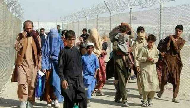 افغان مہاجرین کی واپسی، یکم اپریل سے اب تک 1,355 تارکین وطن واپس بھیجے جاچکے