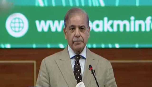 پاکستان معدنی ذخائر نکال کر قرضوں کے پہاڑ سے نجات حاصل کرسکتا ہے، وزیراعظم