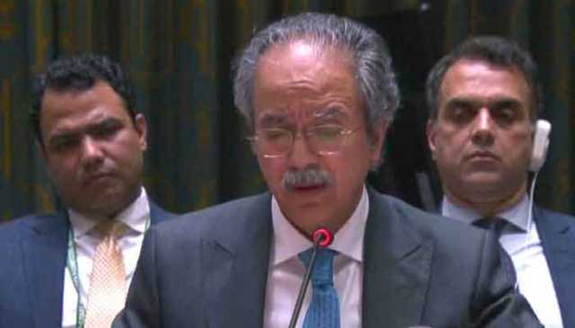سلامتی کونسل اجلاس: پاکستان کا غزہ میں مستقل اورغیر مشروط جنگ بندی کا مطالبہ