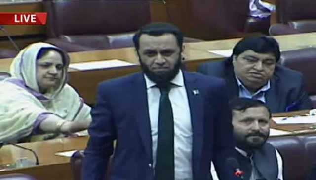 بھارتی رافیل طیاروں کا غرور خاک میں ملا دیا، پاک فوج نے دشمن کا مورال توڑ دیا، عطاء اللہ تارڑ