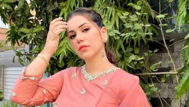 گھر والے اور شوہر نہیں چاہتے میں اداکاری کروں، غنیٰ علی