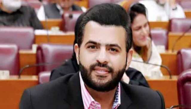 پاکستان کی خودمختاری کو للکارنے والوں کو ذلت کے سوا کچھ نہیں ملے گا، بیرسٹر دانیال چودھری