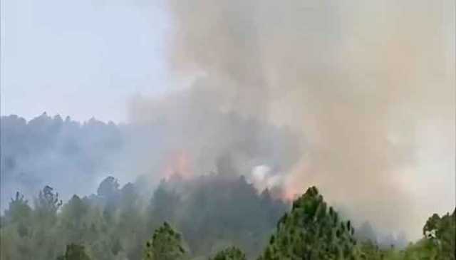 دیر لوئر کے جنگلات میں لگنے والی آگ بے قابو، عوام سے مدد کی اپیل