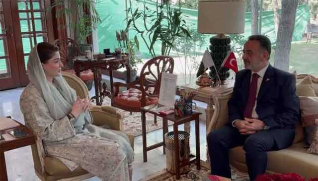 وزیراعلیٰ پنجاب نے ترکیہ کیساتھ تجارتی تعاون مزید بڑھانے کا اعلان کر دیا