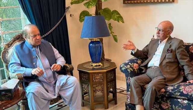 پارلیمنٹ نے پاک بھارت جنگ میں مثبت اور توانا کردار ادا کیا ہے، نواز شریف