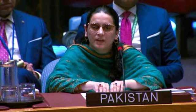 پہلگام حملہ: ثبوت تھے تو تحقیقات کی پیشکش قبول کرتے، پاکستان