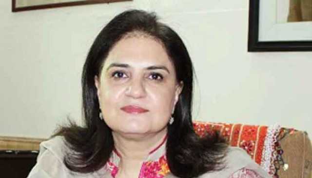 صحافت کے بغیر جمہوریت نامکمل ہے، سینیٹر روبینہ خالد