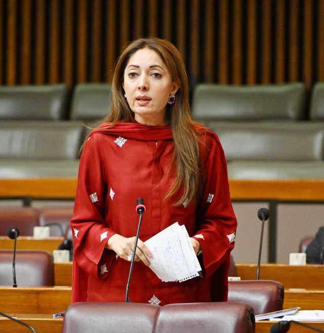 پیپلز پارٹی نے وفاقی بجٹ مسترد کر دیا، شرمیلا فاروقی کی کڑی تنقید