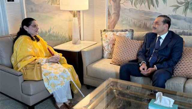 فیلڈ مارشل  سے اقوام متحدہ میں پاکستانی مشن کی رکن سائمہ سلیم  کی ملاقات،اہم معاملات سے آگاہ کیا