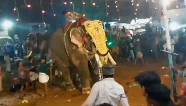 بھارت: مذہبی تقریب کے دوران ہاتھی بے قابو، بھگدڑ مچ گئی