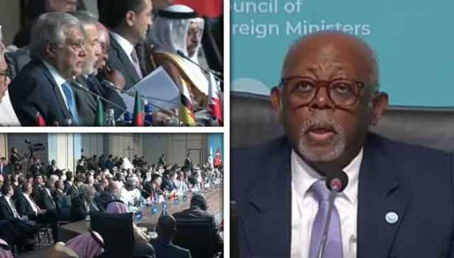 موجودہ حالات میں اتحاد بین المسلمین ناگزیر ہے، سیکریٹری جنرل او آئی سی