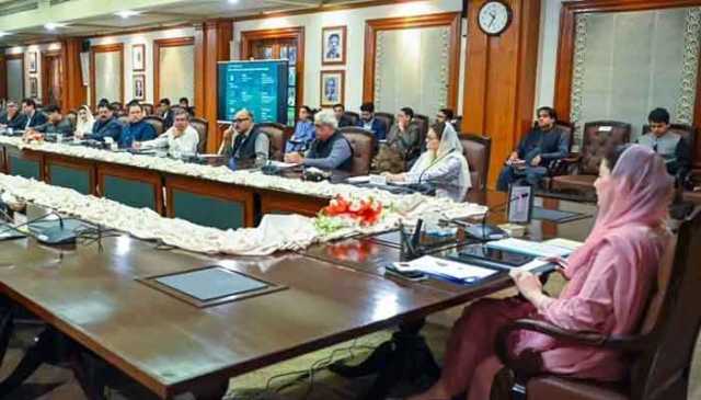 پنجاب حکومت کا بجلی کے بلوں میں کمی لانے کیلئے پاور کمپنیوں کا ٹیرف کم کرنے کا اعلان