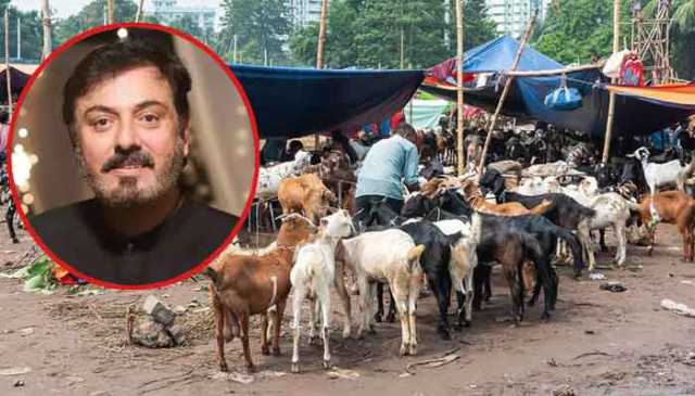 ’اگر تقویٰ ہوتا تو 30 ہزار کا بکرا لاکھ میں نہ بکتا‘، اداکار نعمان اعجاز کی تنقید
