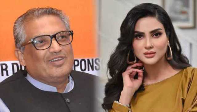 ’صحافی نہ ہوتے تو واش روم صاف کرتے‘، فضا علی کے تبصرے پر سہیل وڑائچ بھی بول اٹھے