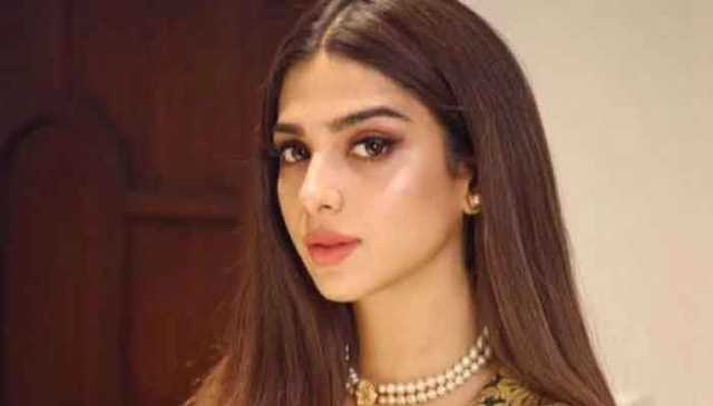 سونیا حسین لباس کی وجہ سے ایک بار پھر تنقید کی زد میں