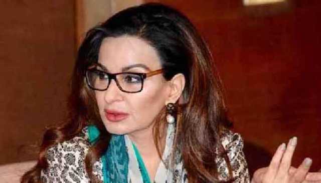 بلاول بھٹو نے امریکا میں پاکستانی ایجنڈے کو بہت اچھے سے پیش کیا: شیری رحمان