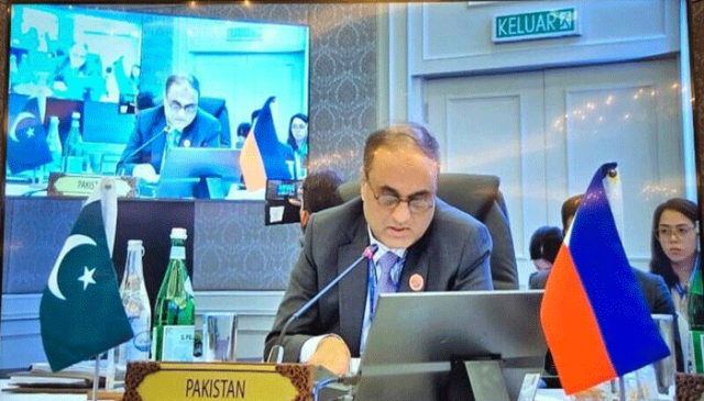 بھارت کو ایک بار پھر منہ کی کھانی پڑی، پاکستانی ایڈیشنل فارن سیکریٹری نے تارے دکھا دیے