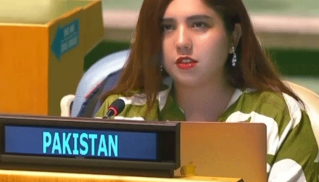 پاکستان نے اقوام متحدہ کی جنرل اسمبلی میں بھارت کا بھیانک چہرہ اور ناپاک عزائم بے نقاب کردیے