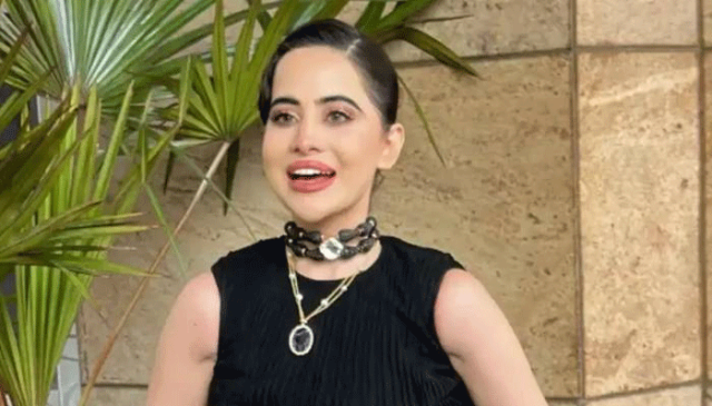 عرفی جاوید کو دہلی کے شرمیلے لڑکے سے پیار ہو گیا۔