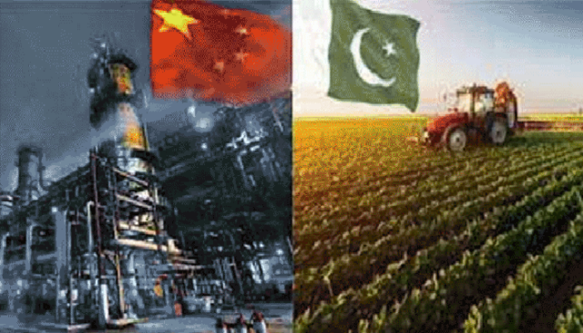 پاک چین، 4 ارب ڈالر سے زائد کےزرعی معاہدے